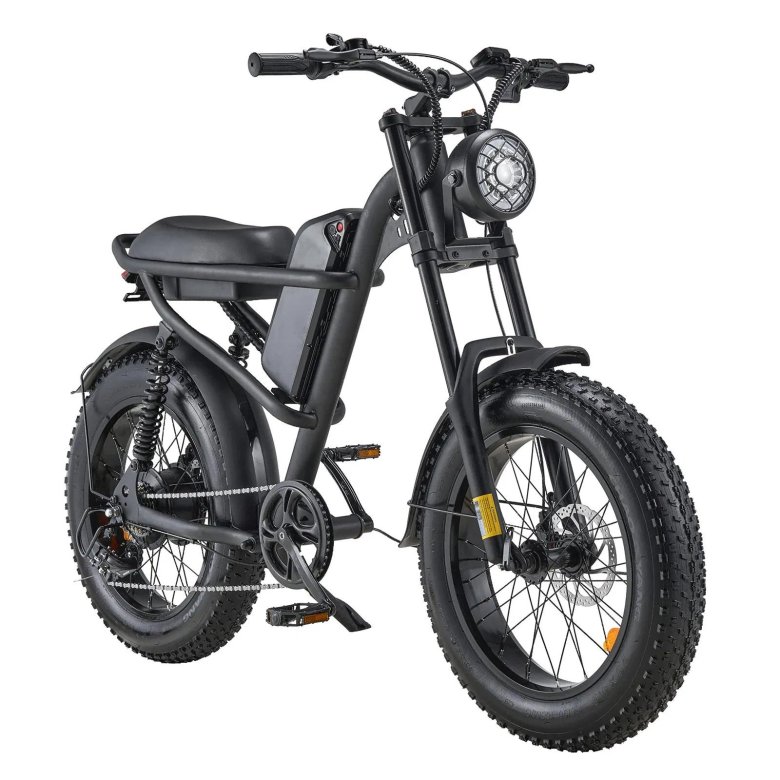 Electric bike