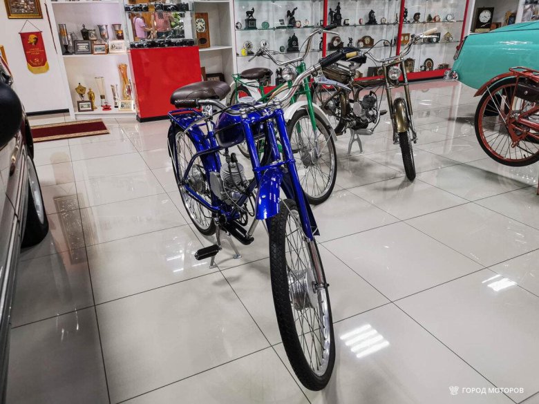 Мотовелосипед рига-2 гауя