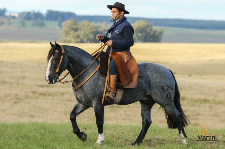 Седла аргентинских гаучо