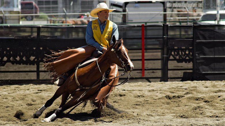 Николь гаучо