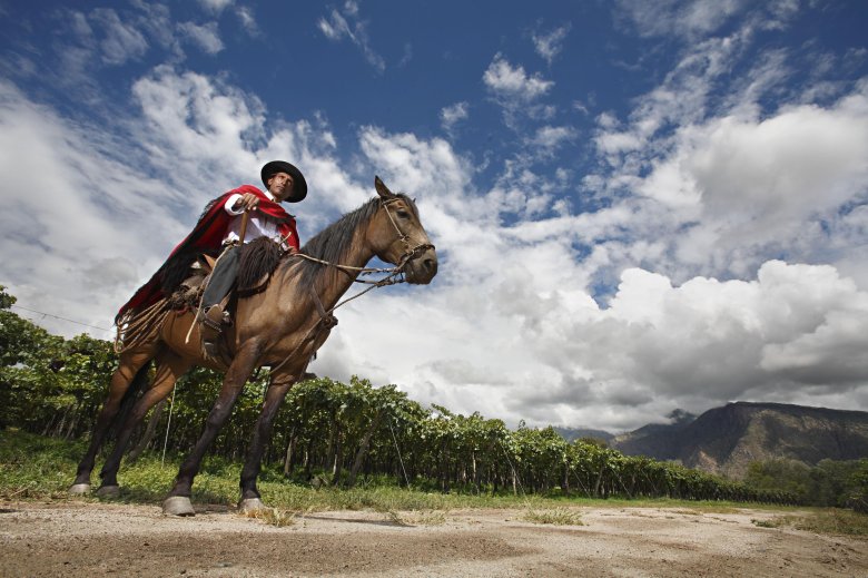 Аргентинские пастухи гаучо