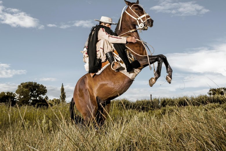 Гаучо аргентина
