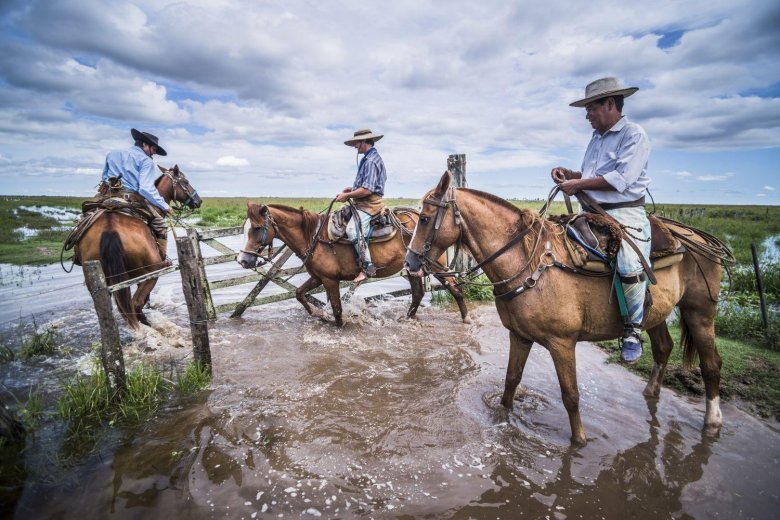 Пастухи гаучо аргентина