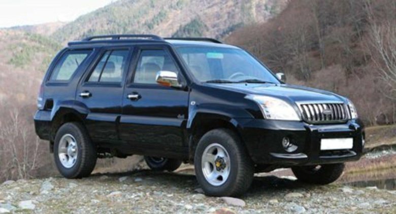 Дервейс 313120 2006