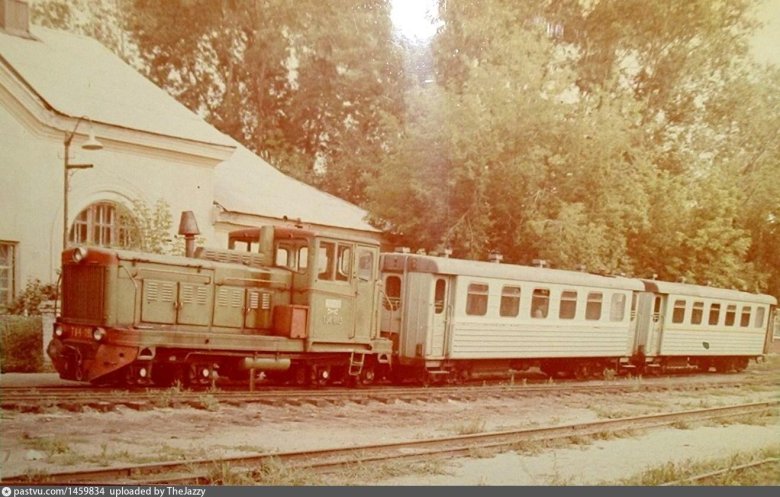 Электрогорск узкоколейная железная дорога