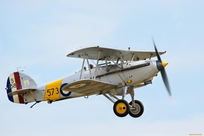 Hawker nimrod