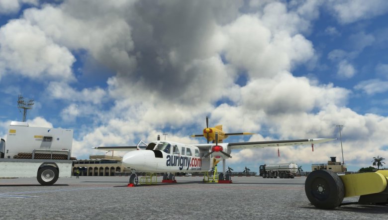 Microsoft flight sim