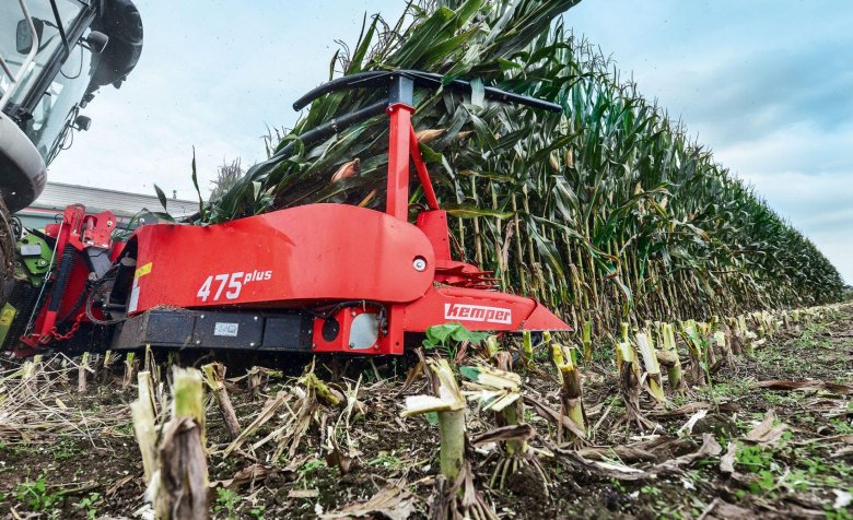 Жатка для уборки кукурузы на силос