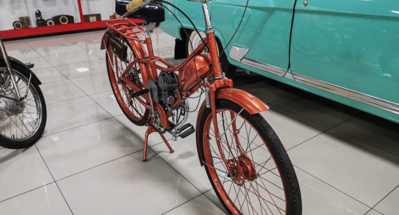 Мотовелосипед рига-2 гауя