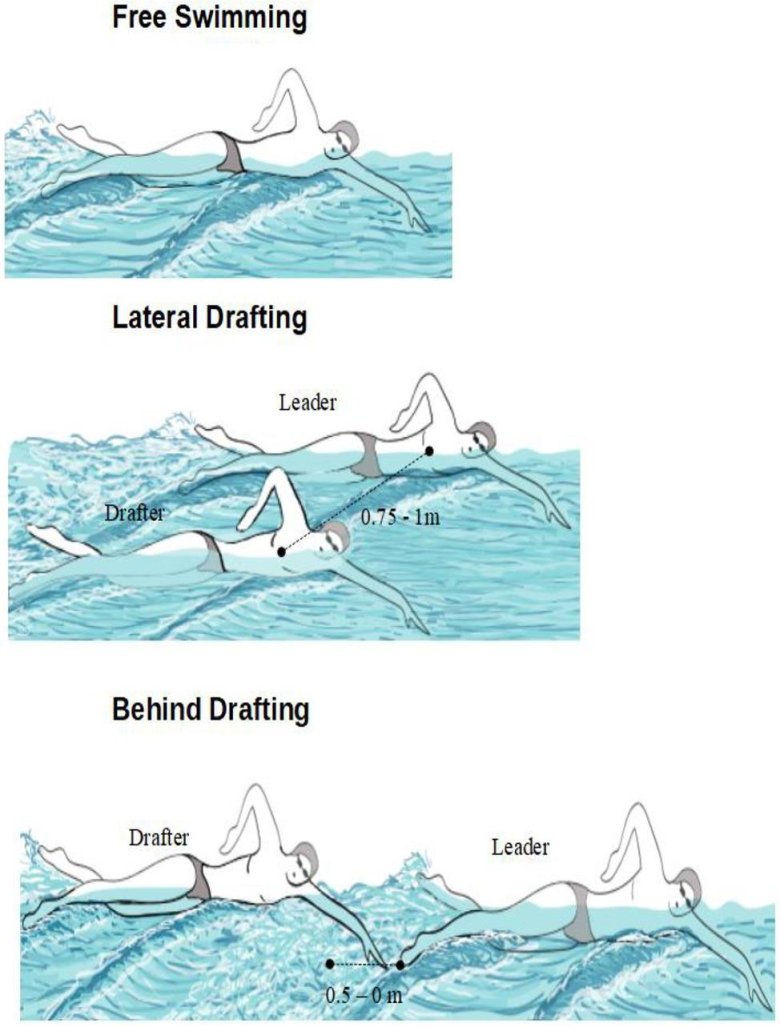 Плавание брассом техника