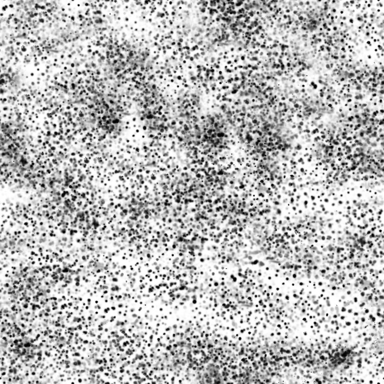 Черно белая текстура