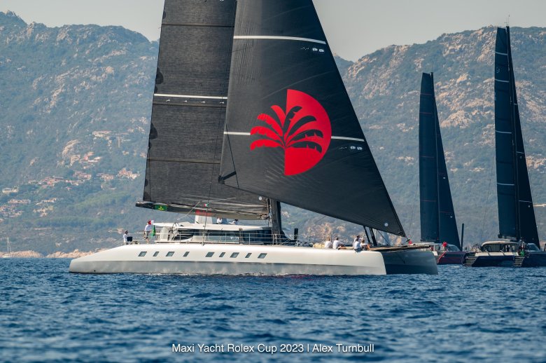 Парусные катамараны