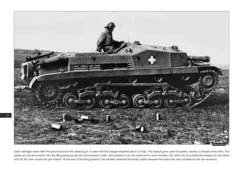 Венгерская сау зриньи