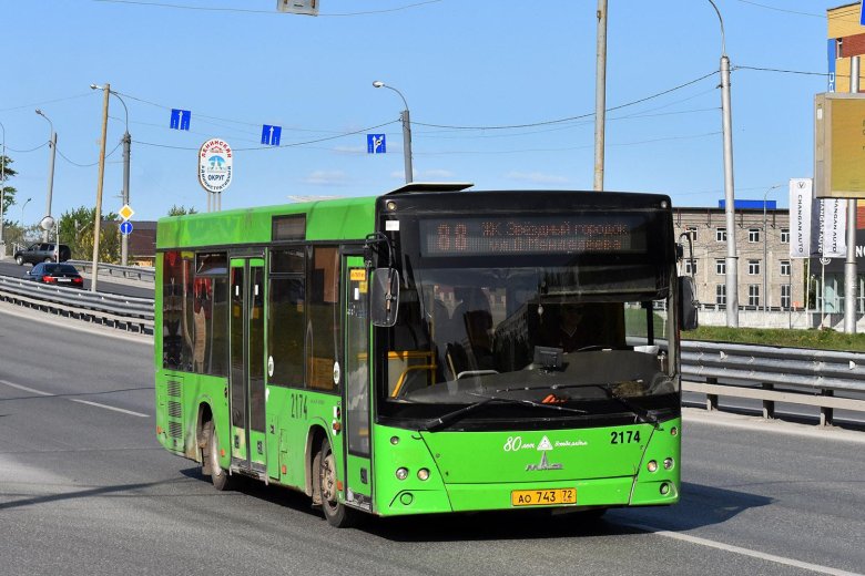 Тюменская область маз 206