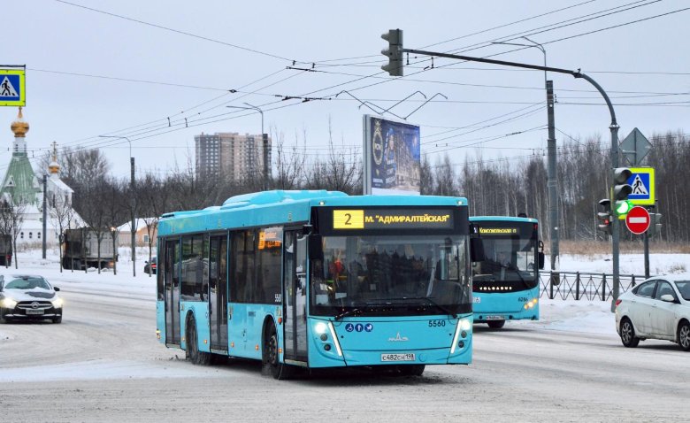 Маз 203 пассажиравтотранс