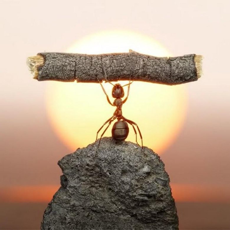 Преодоление трудностей