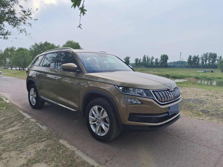 Skoda kodiaq 2016 — 2022 i серый