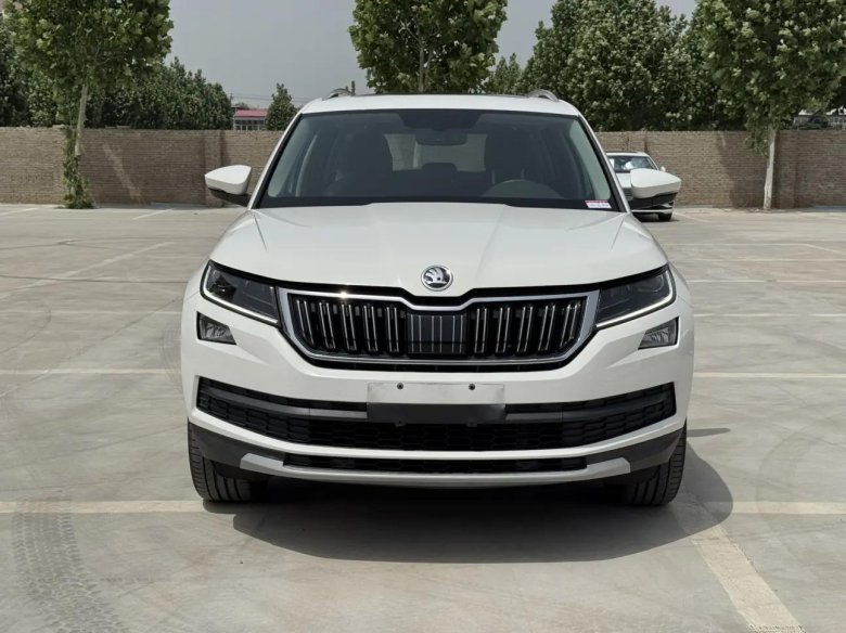 Skoda kodiaq grey