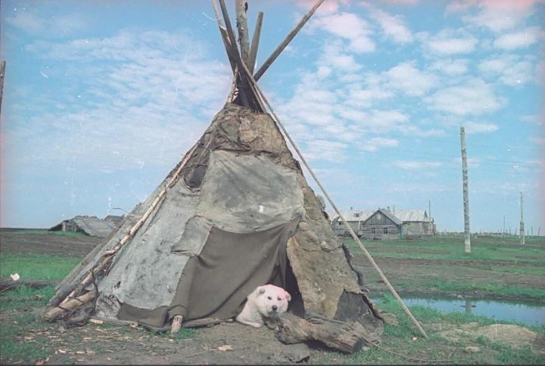 Жилища народов севера