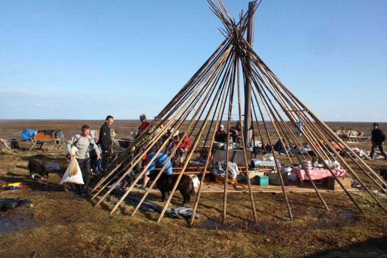 Традиционное жилище ненцев