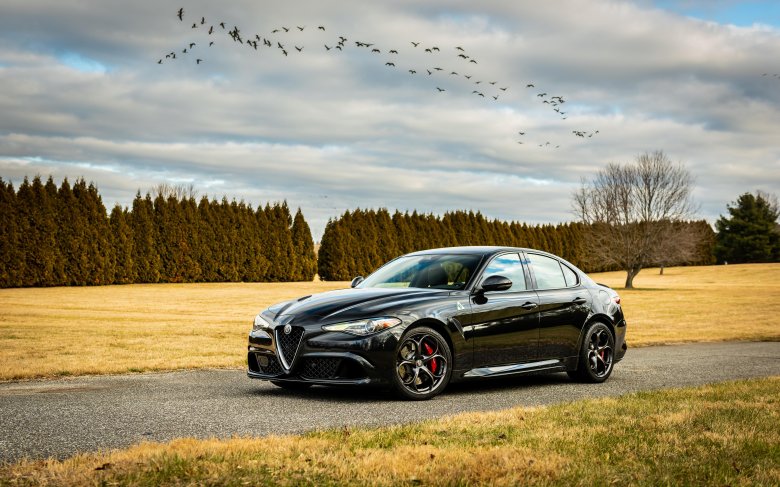 Alfa romeo giulia обои