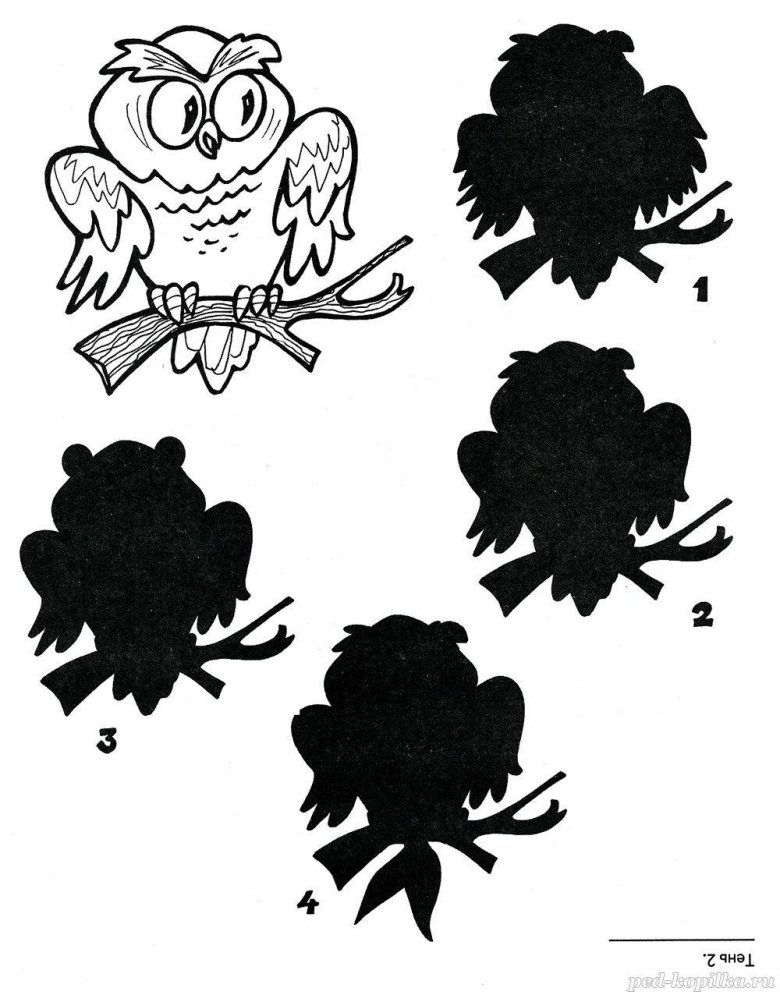 Тени задание для детей