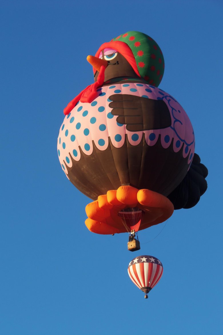 Albuquerque international balloon fiesta фестиваль