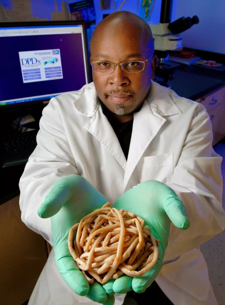 Аскарит в кишечник человека