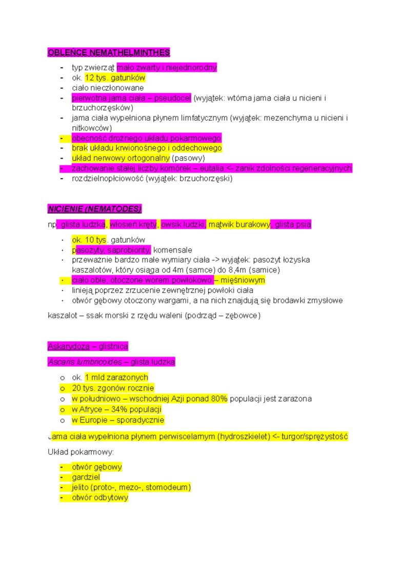 Конспект лекций