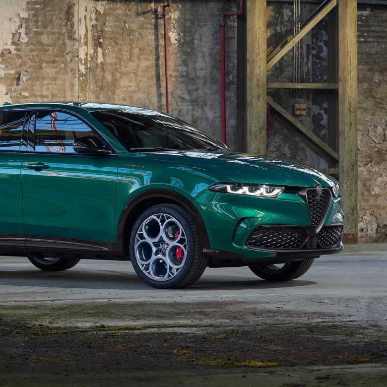 Alfa romeo suv