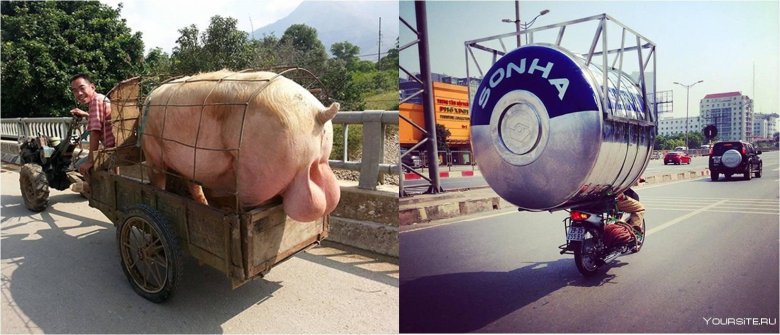 Большие яйца