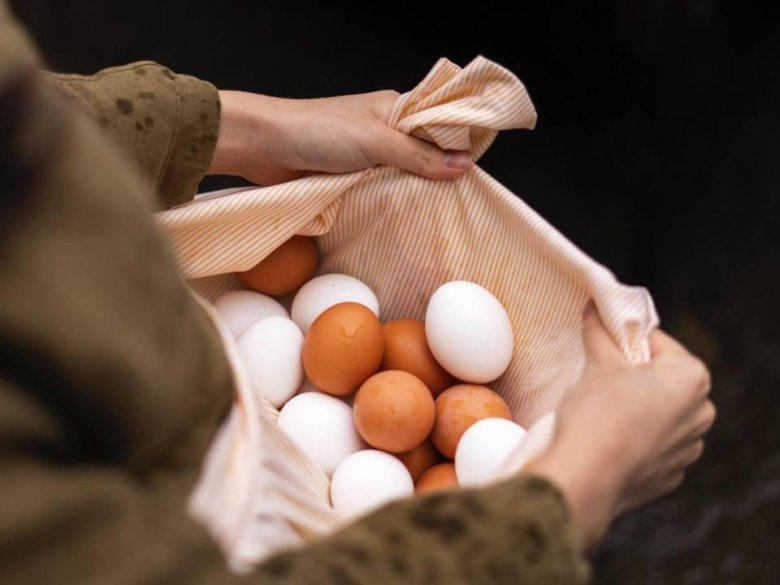 Куриное яйцо