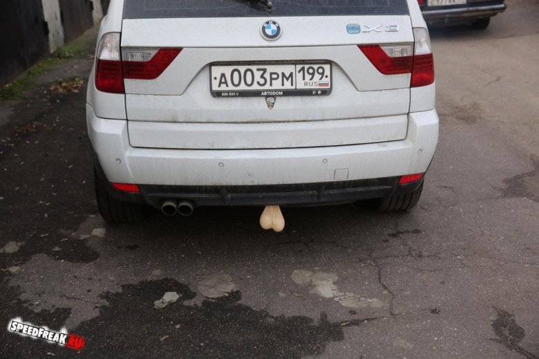 Яйца на фаркоп