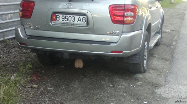 Яйца на машине