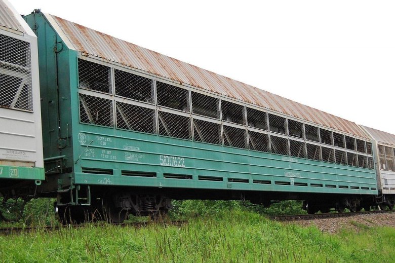 Вагон автомобилевоз ржд