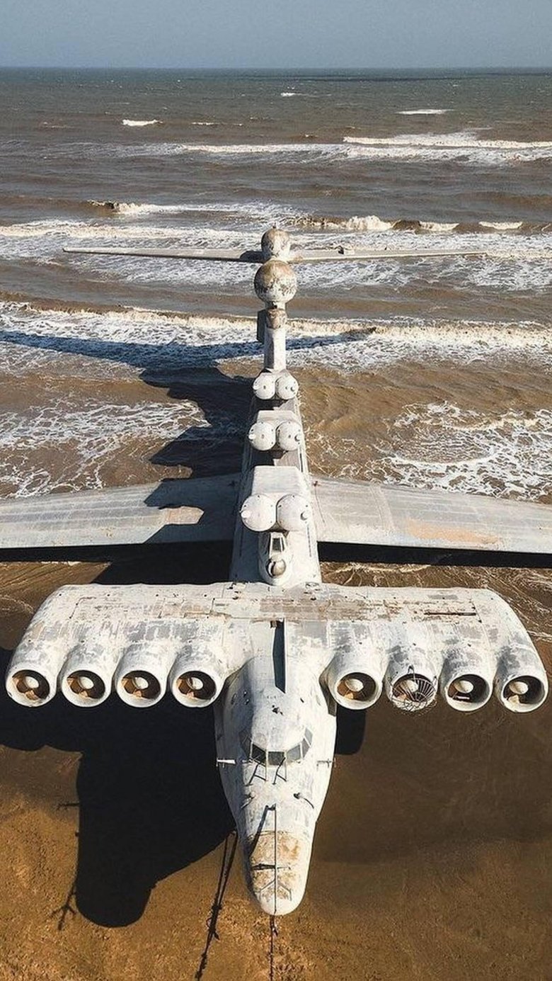 Лунь каспийский монстр