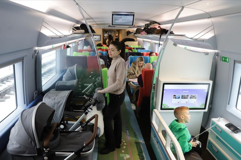 Семейный вагон сапсан