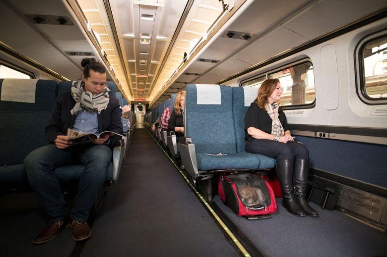 Сапсан вагон для животных