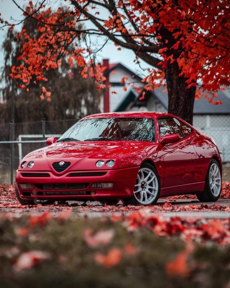 Alfa romeo gtv