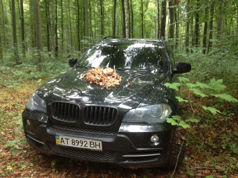 Bmw x 5 2008
