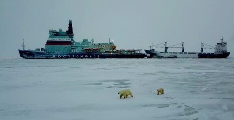 Ледокол арктика на северном полюсе