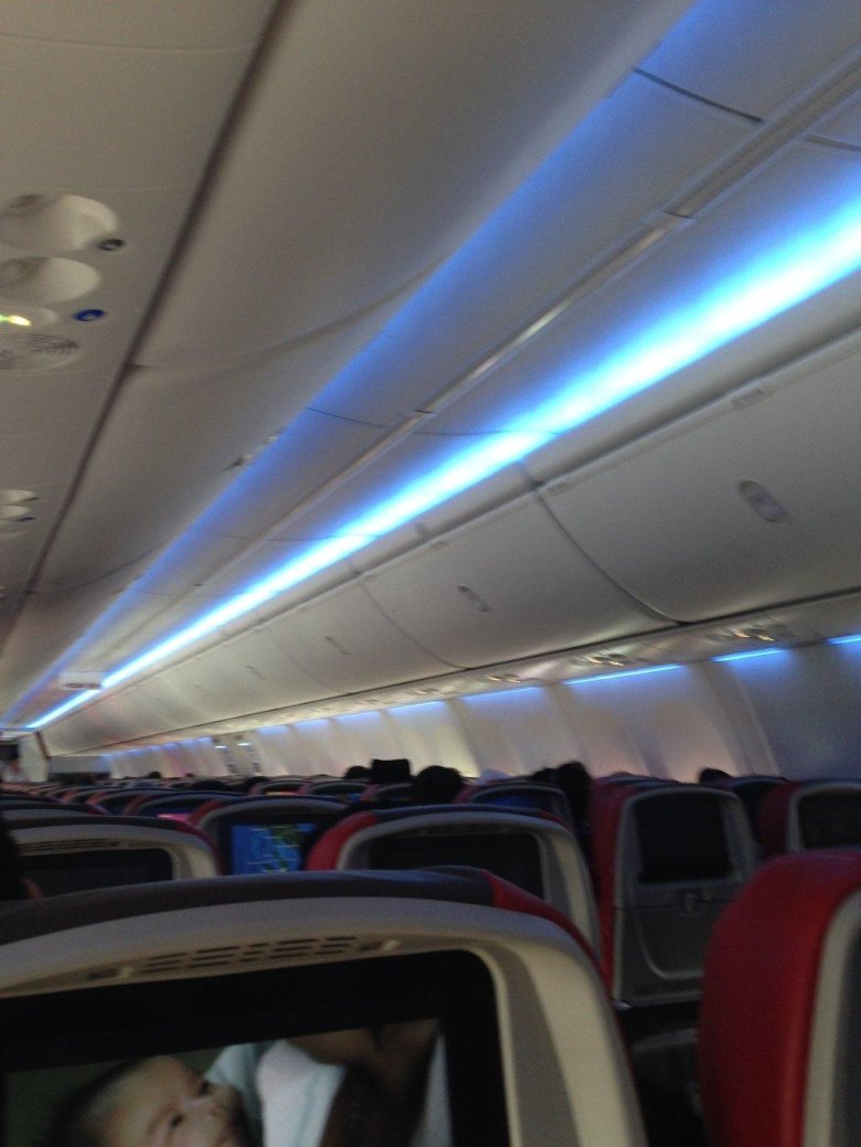 Airbus a321 turkish airlines салон