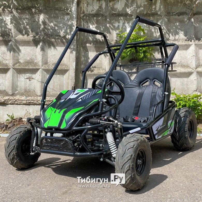 Электро багги scanmoto rapid