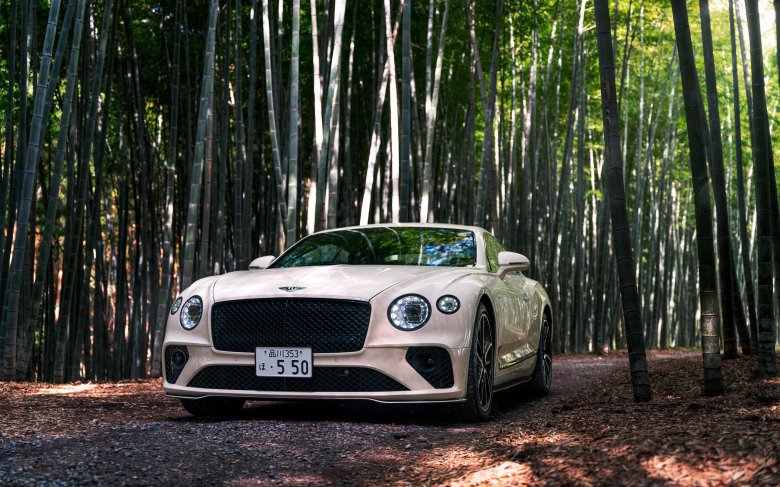 Bentley continental gt 2018