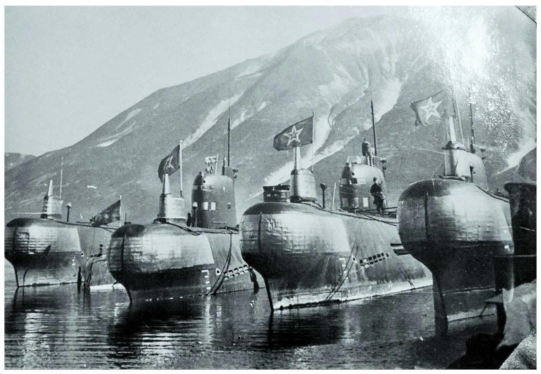 Камчатка бечевинка 182 бригада пл