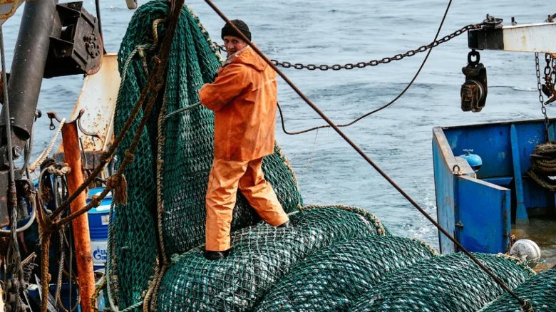 Промысловое рыболовство