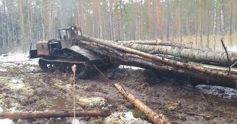 Трелёвка леса на тдт 55