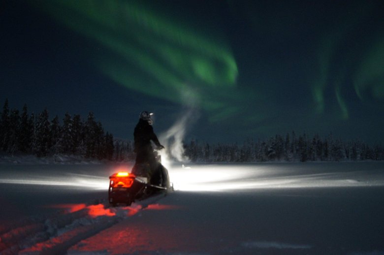 Снегоход в лесу