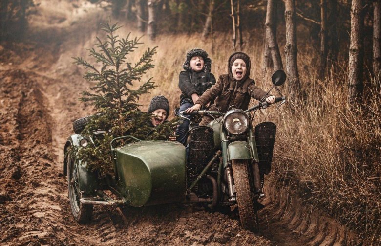 Мотоцикл в лесу