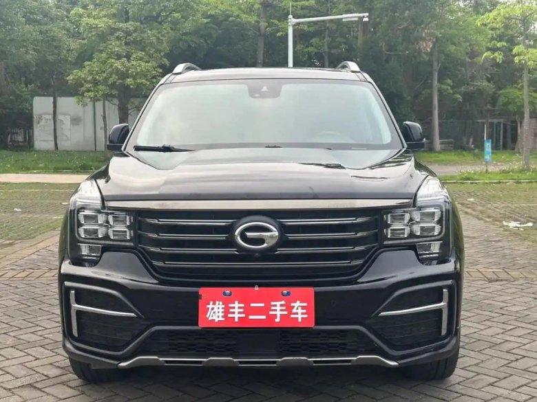 Gac trumpchi
